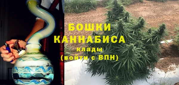 гашик Верея
