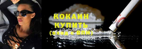 гашик Верея