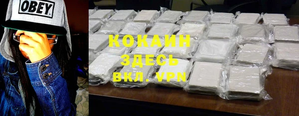 гашик Верея