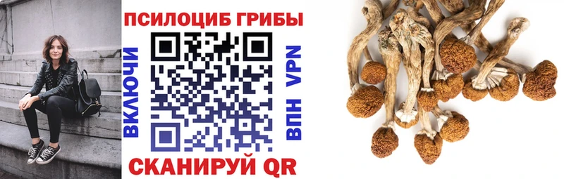 Псилоцибиновые грибы Magic Shrooms Каменск-Шахтинский